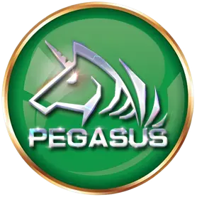 Pegasus